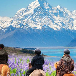 5 ways to have an epic New Zealand summer