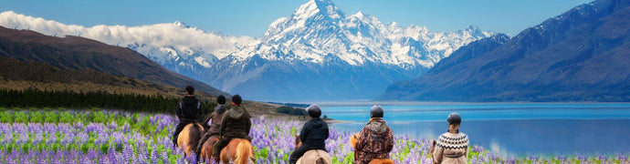 5 ways to have an epic New Zealand summer