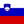 Slovenia icon