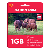 Thumbnail for Gabon eSIM: 1GB - 7 Days